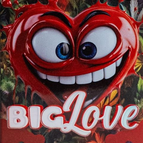 Big Love