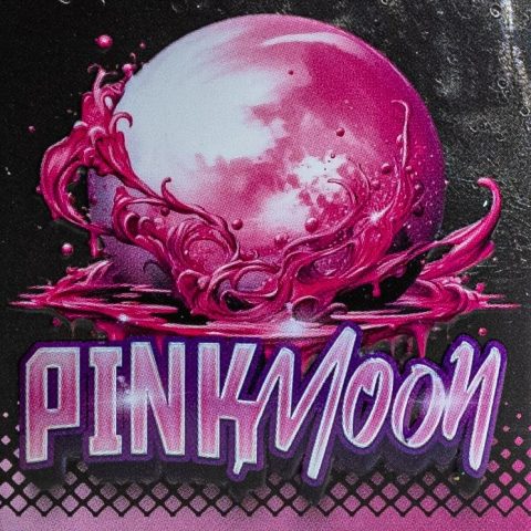 Pink Moon