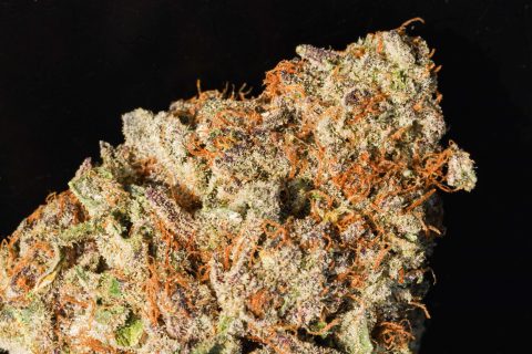 Tangie Candie