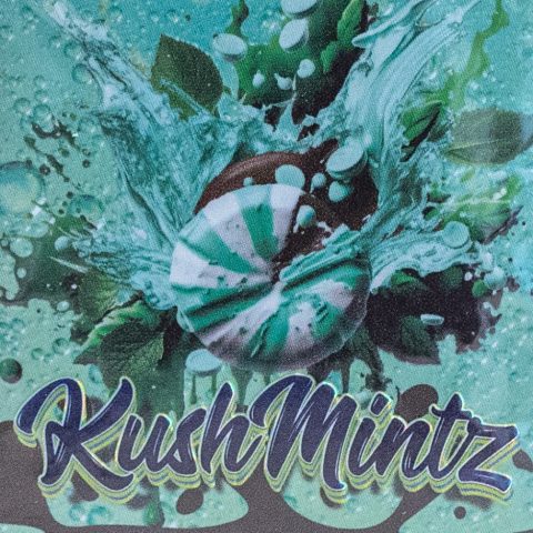 Kush Mintz