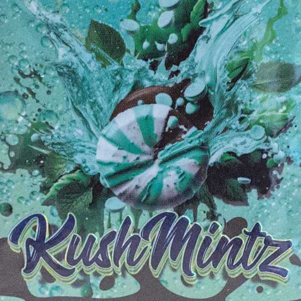 Kush Mintz
