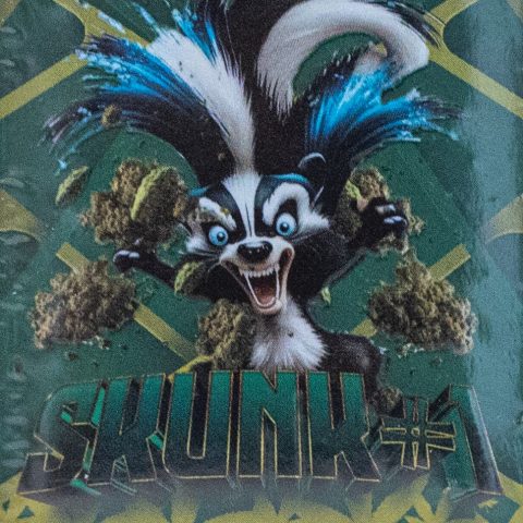 Skunk #1