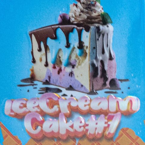 Ice Cream Cake #7