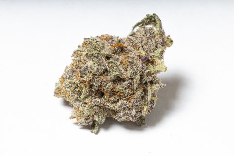 Blue Amnesia