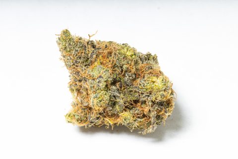 Blue Guava