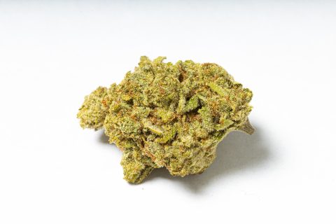 Blueberry Muffin