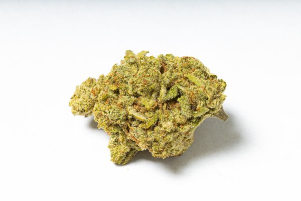 Blueberry Muffin