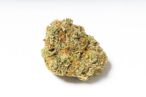Cherry Kush