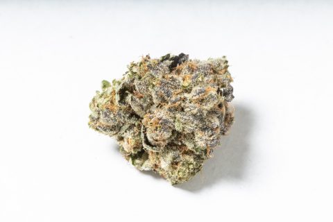 Hindu Kush