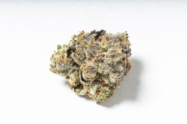 Hindu Kush