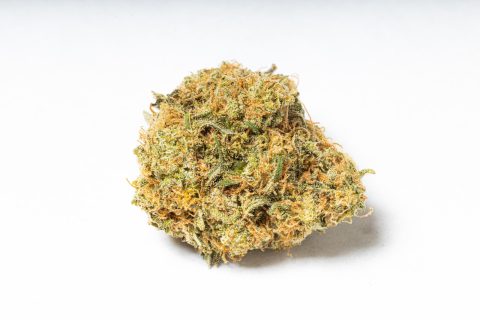Kush Mintz