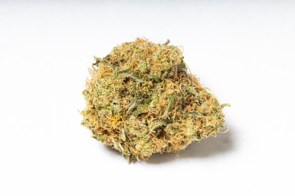 Kush Mintz