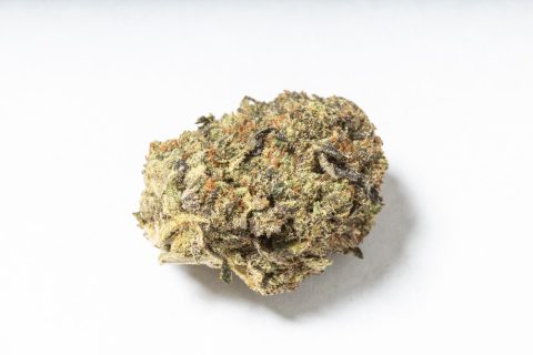 Pink Bubba