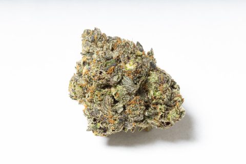 Platinum Pink