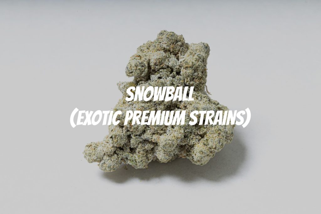 Snowball2