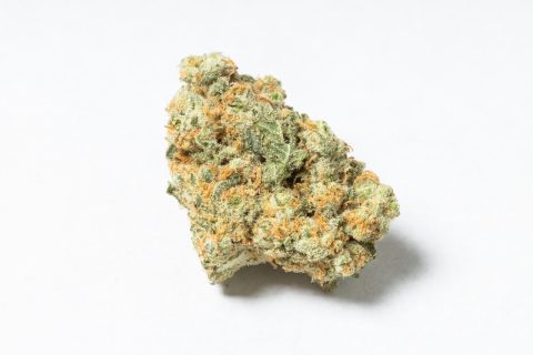Lemon Fatman